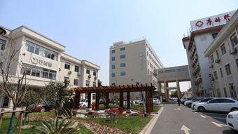 新瓜最新爆料售楼部,新瓜爆料揭示楼盘背后的秘密!”